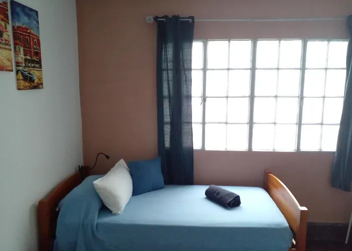 Casa Eucalipto 라스팔마스